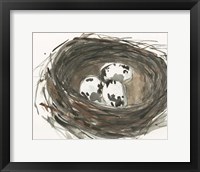 Nesting Eggs I Fine Art Print