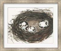 Nesting Eggs II Fine Art Print