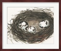 Nesting Eggs II Fine Art Print