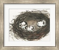 Nesting Eggs II Fine Art Print