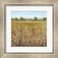 Abundance of Wildflowers I Fine Art Print