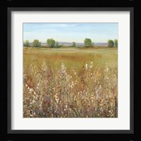 Abundance of Wildflowers I Framed Print