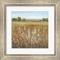 Abundance of Wildflowers II Fine Art Print