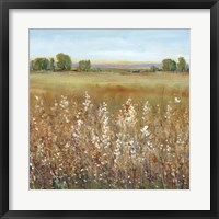 Abundance of Wildflowers II Framed Print