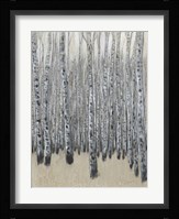 Neutral Aspen II Fine Art Print