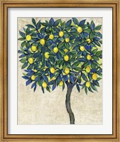 Lemon Tree Composition I Fine Art Print