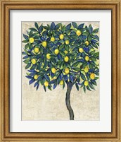 Lemon Tree Composition I Fine Art Print