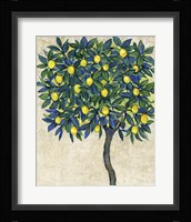 Lemon Tree Composition I Fine Art Print