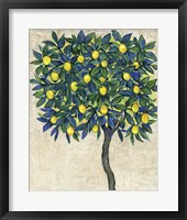 Lemon Tree Composition I Framed Print
