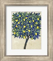 Lemon Tree Composition II Fine Art Print