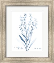 Antique Botanical in Blue I Fine Art Print