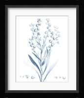 Antique Botanical in Blue I Fine Art Print