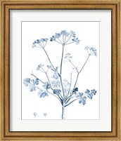Antique Botanical in Blue IV Fine Art Print