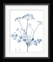 Antique Botanical in Blue IV Fine Art Print