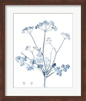 Antique Botanical in Blue IV Fine Art Print