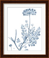 Antique Botanical in Blue V Fine Art Print