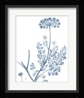 Antique Botanical in Blue V Fine Art Print