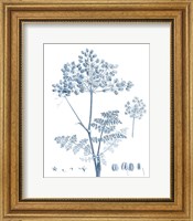Antique Botanical in Blue VI Fine Art Print