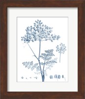 Antique Botanical in Blue VI Fine Art Print