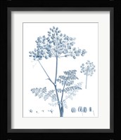 Antique Botanical in Blue VI Fine Art Print