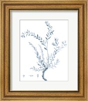 Antique Botanical in Blue VII Fine Art Print