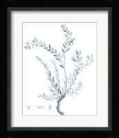 Antique Botanical in Blue VII Fine Art Print