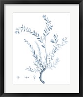 Antique Botanical in Blue VII Framed Print