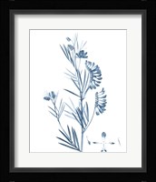 Antique Botanical in Blue IX Fine Art Print