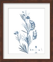 Antique Botanical in Blue IX Fine Art Print