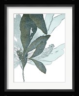 Seaside Seaweed I Fine Art Print