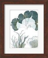 Seaside Seaweed II Fine Art Print