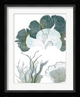 Seaside Seaweed II Fine Art Print