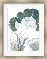 Seaside Seaweed II Fine Art Print