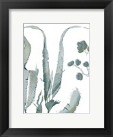 Seaside Seaweed III Fine Art Print