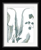 Seaside Seaweed III Fine Art Print