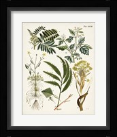 Fanciful Ferns I Framed Print