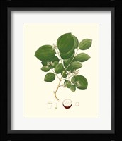 Spring Green Foliage I Framed Print