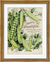 Antique Seed Packets V Fine Art Print