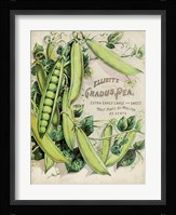 Antique Seed Packets V Fine Art Print