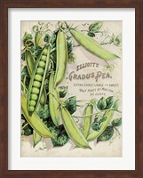 Antique Seed Packets V Fine Art Print