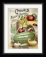 Antique Seed Packets VI Fine Art Print