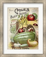 Antique Seed Packets VI Fine Art Print
