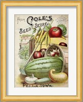 Antique Seed Packets VI Fine Art Print