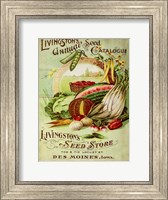 Antique Seed Packets VII Fine Art Print
