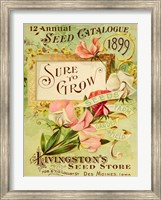 Antique Seed Packets VIII Fine Art Print