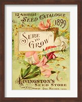 Antique Seed Packets VIII Fine Art Print