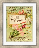 Antique Seed Packets VIII Fine Art Print