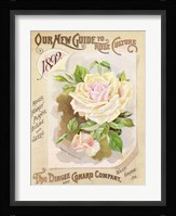 Antique Seed Packets IX Fine Art Print