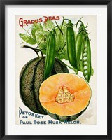 Antique Seed Packets X Fine Art Print