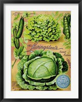 Antique Seed Packets XII Fine Art Print